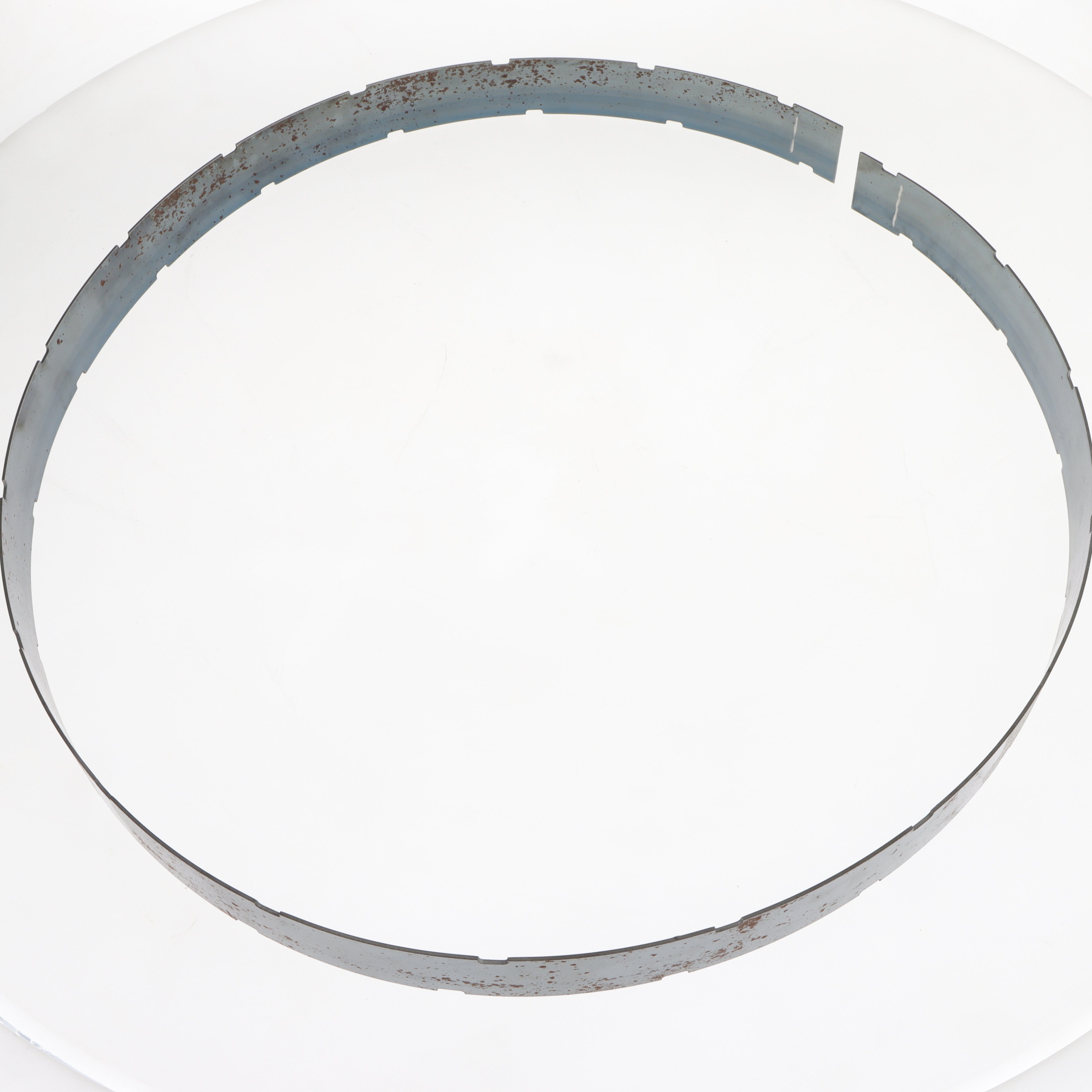 Large Tire Band, Large  