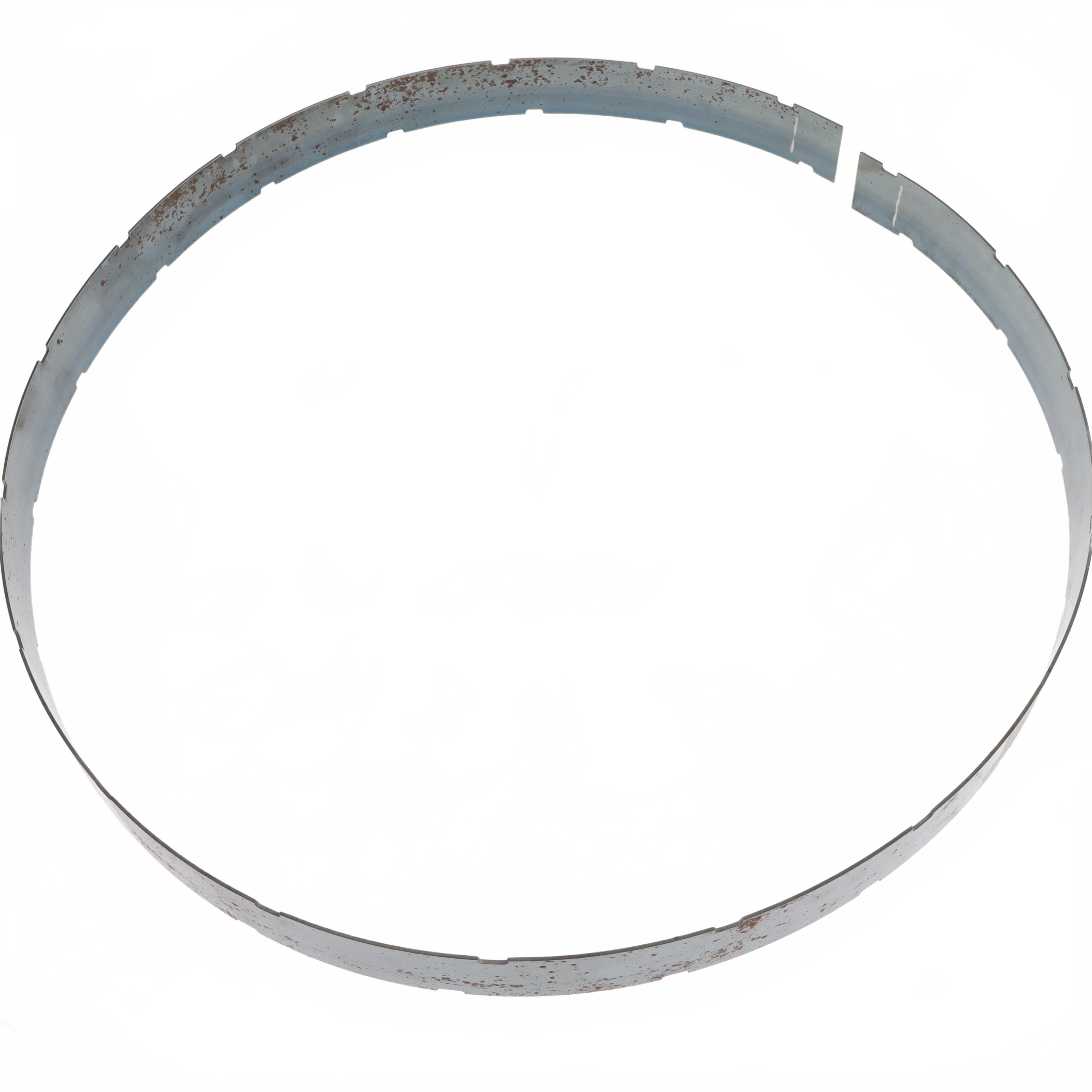Large Tire Band, Large  